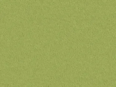 Modena 4D61 grün – rechteckige Draufsicht auf satten grünen Veloursboden als Meterware